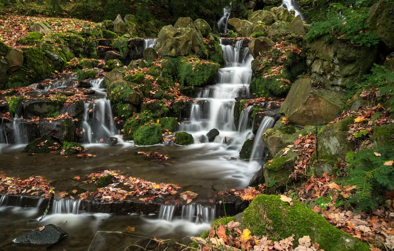 Фото обои осень, листья, ручей, водопад, Германия, каскад