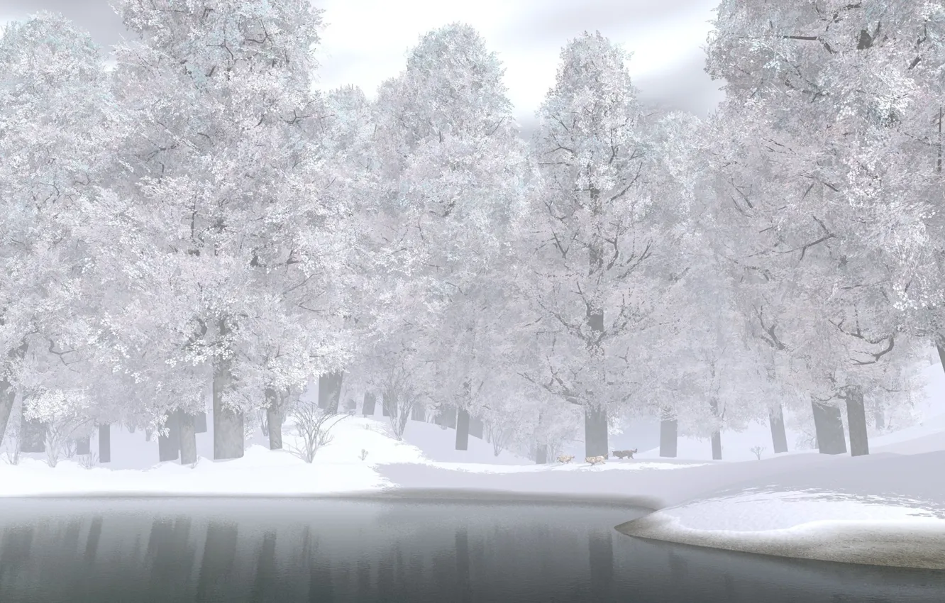 Фото обои зима, лес, снег, деревья, озеро, волки