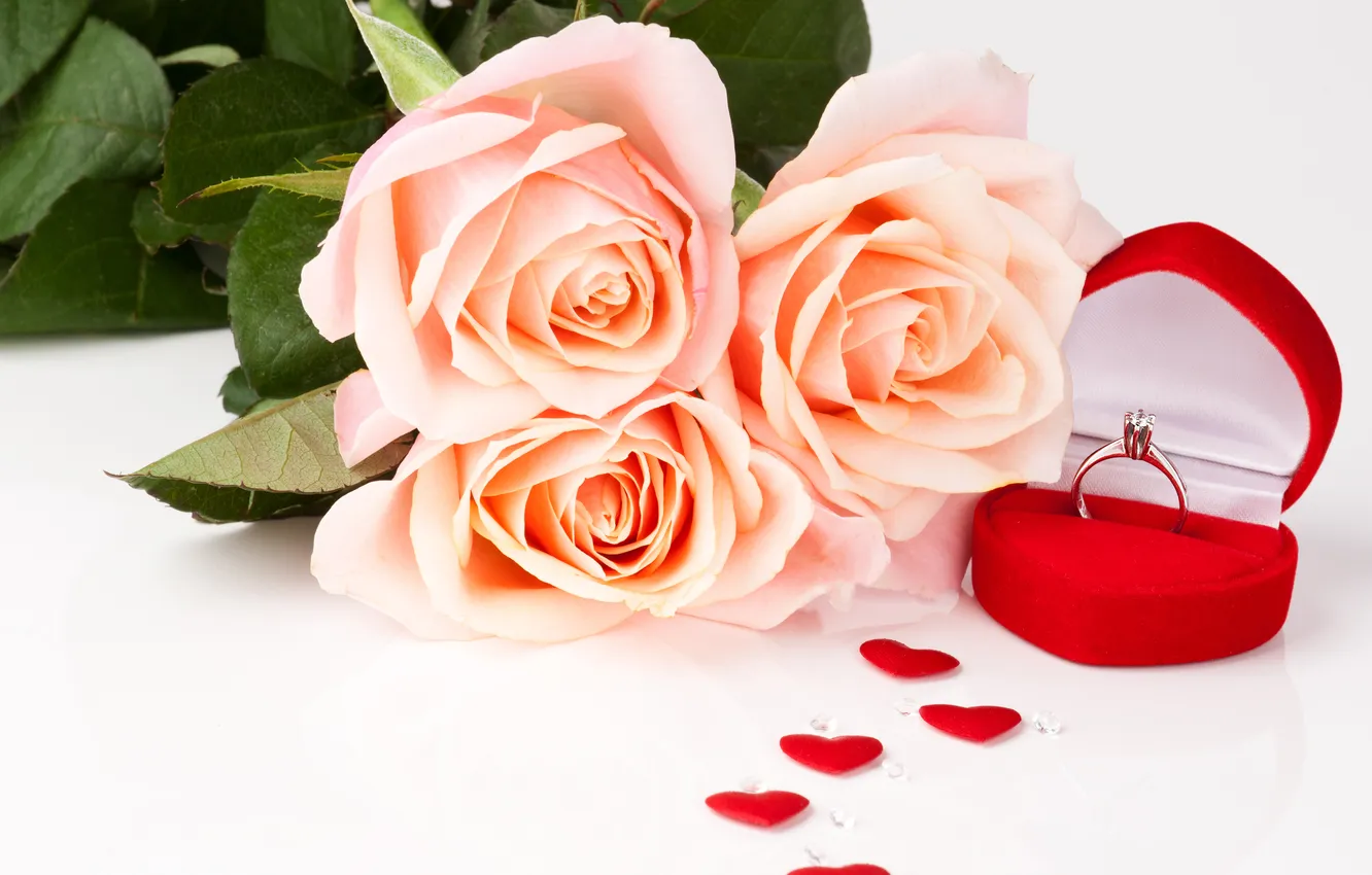 Фото обои цветы, розы, кольцо, сердечки, flowers, hearts, ring, roses