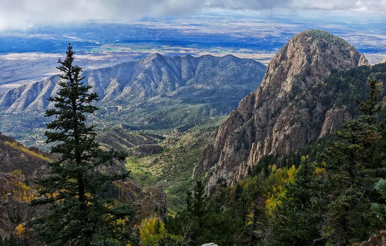 Фото обои деревья, горы, скалы, поля, долина, панорама, США, New Mexico