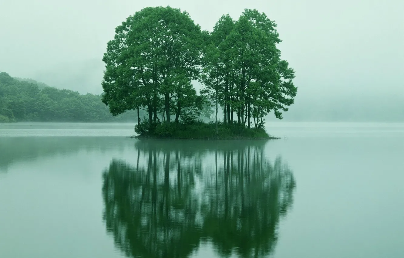 Фото обои отражение, остров, Деревья