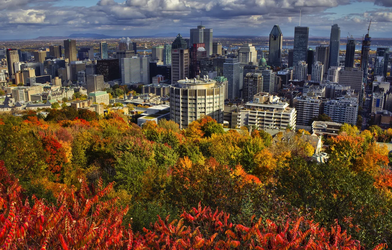 Фото обои осень, облака, пейзаж, дома, Канада, Монреаль, солнечно, кусты