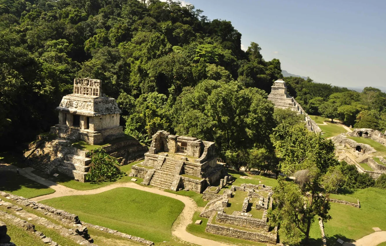 Фото обои сила, красота, тайна, загадка, Мексика, легенда, миф, view from the Sun Temple in Palenque