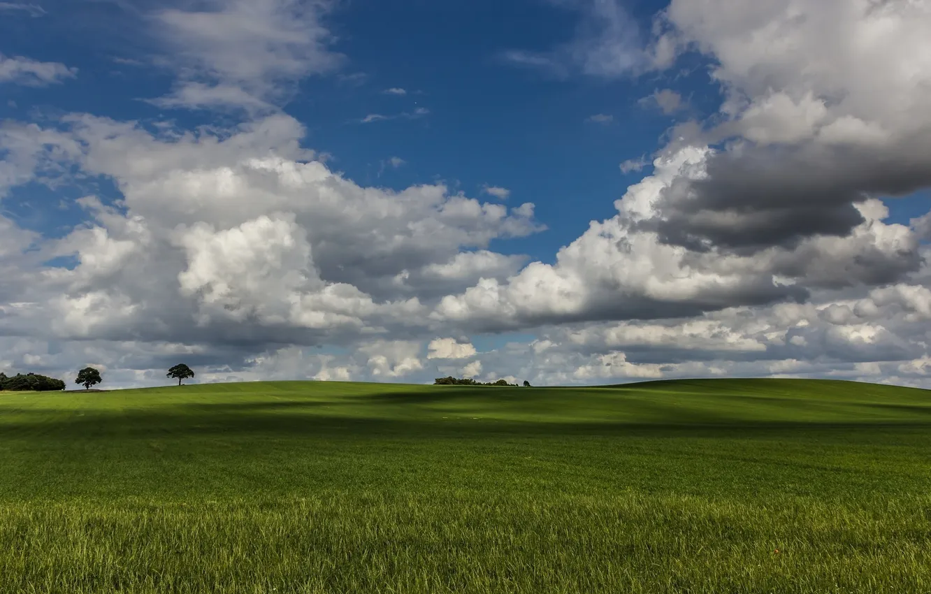 Фото обои поле, небо, трава, облака, деревья