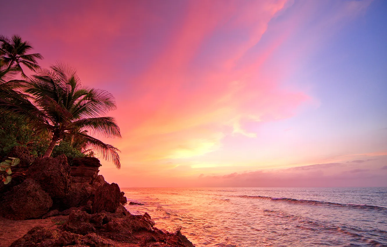Фото обои beach, ocean, sunset, palm, Puerto Rico, Rincón