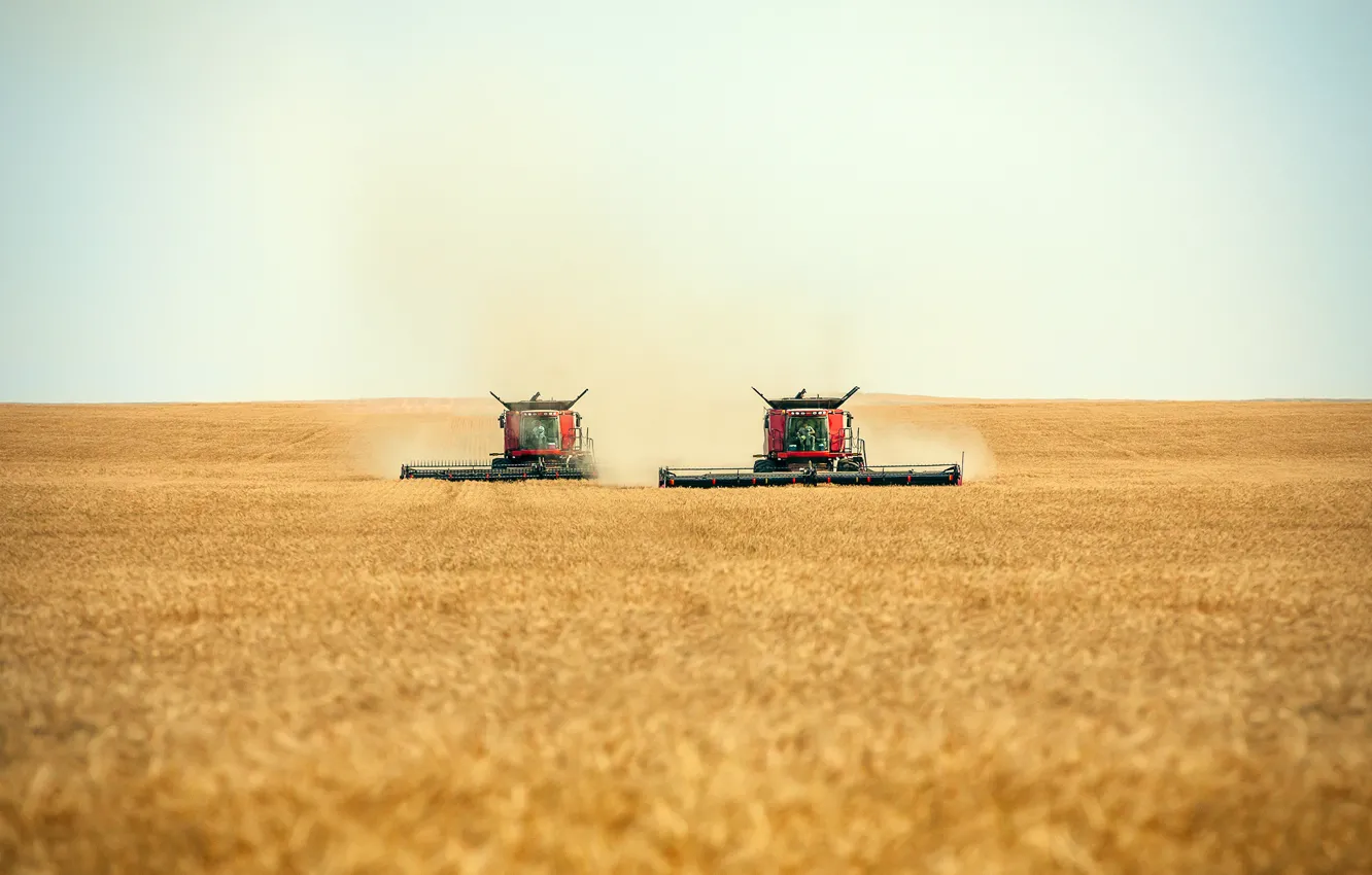 Фото обои workers, рабочих, combines, пару комбайнов, swath, cutting, a pair of combines, Комбайны