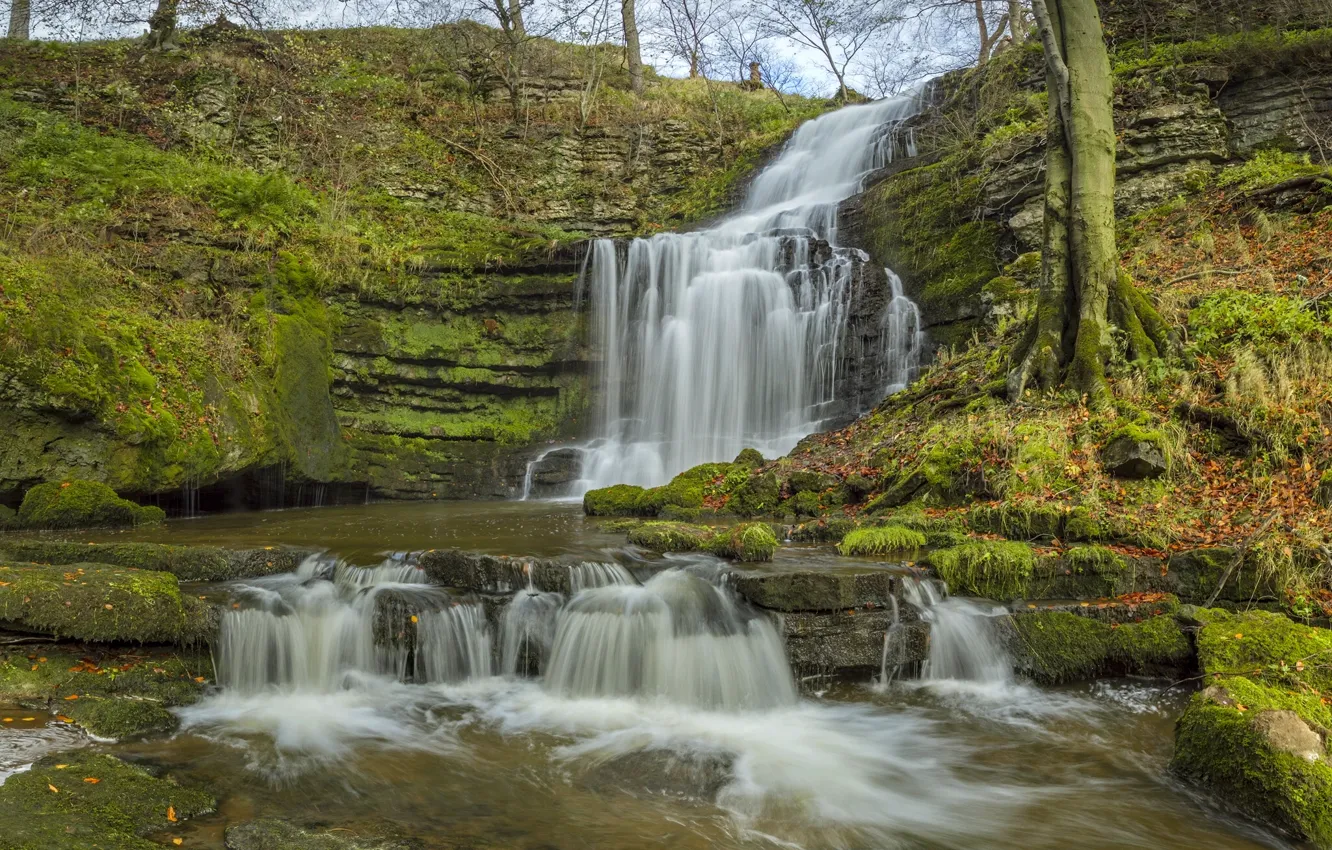 Фото обои осень, Англия, водопад, каскад, England, Северный Йоркшир, Yorkshire Dales, North Yorkshire