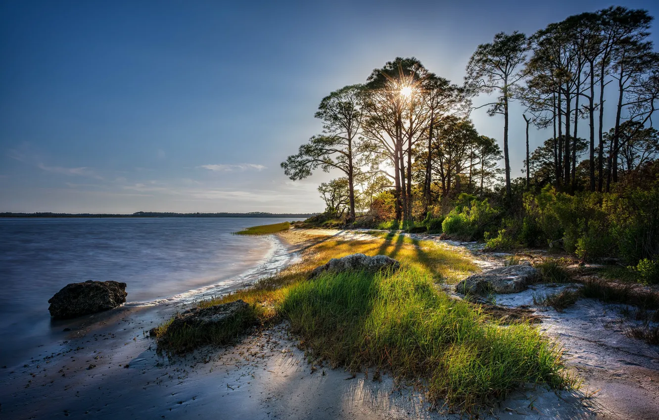 Фото обои песок, солнце, деревья, побережье, утро