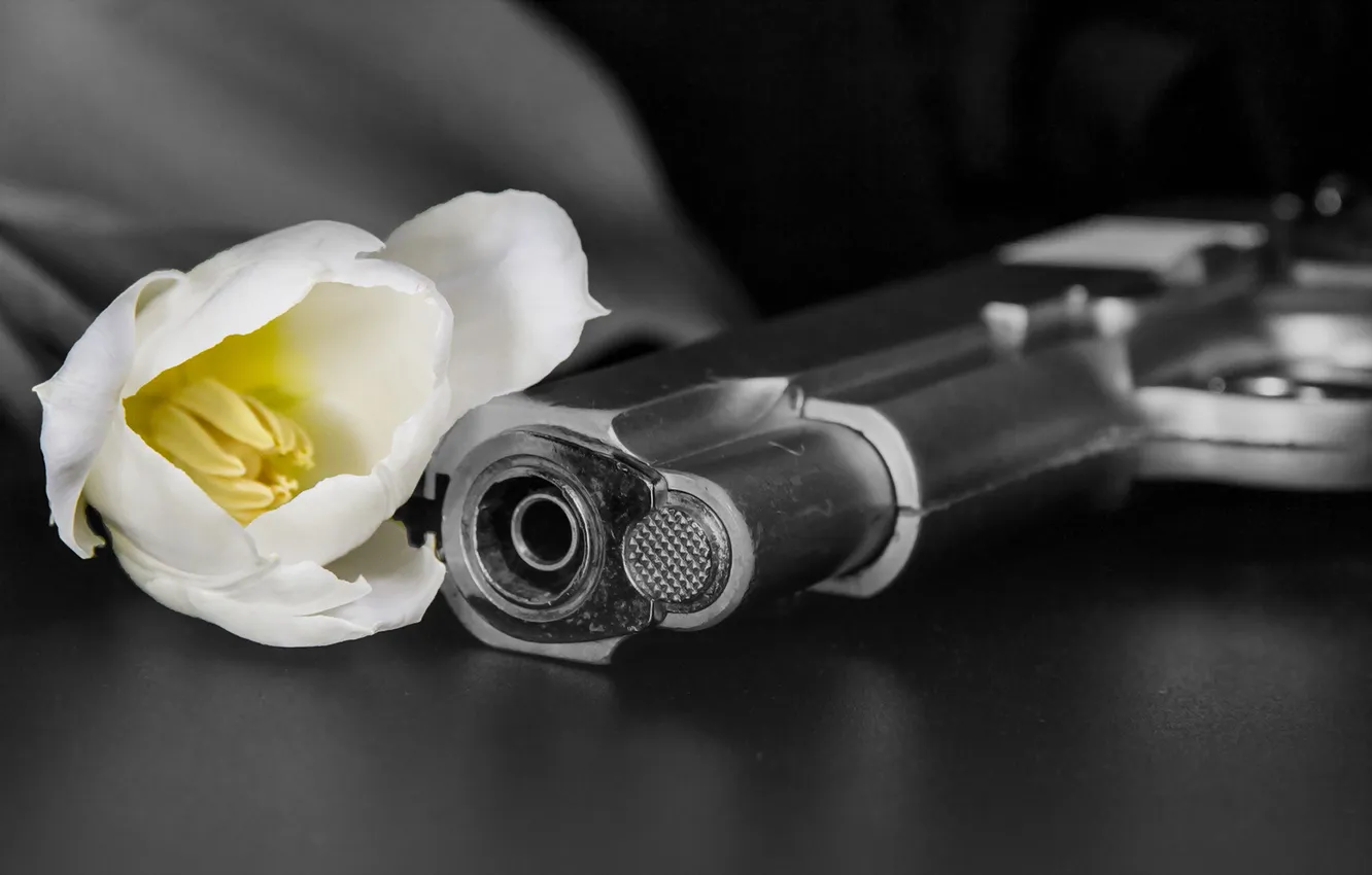 Фото обои цветок, пистолет, оружие