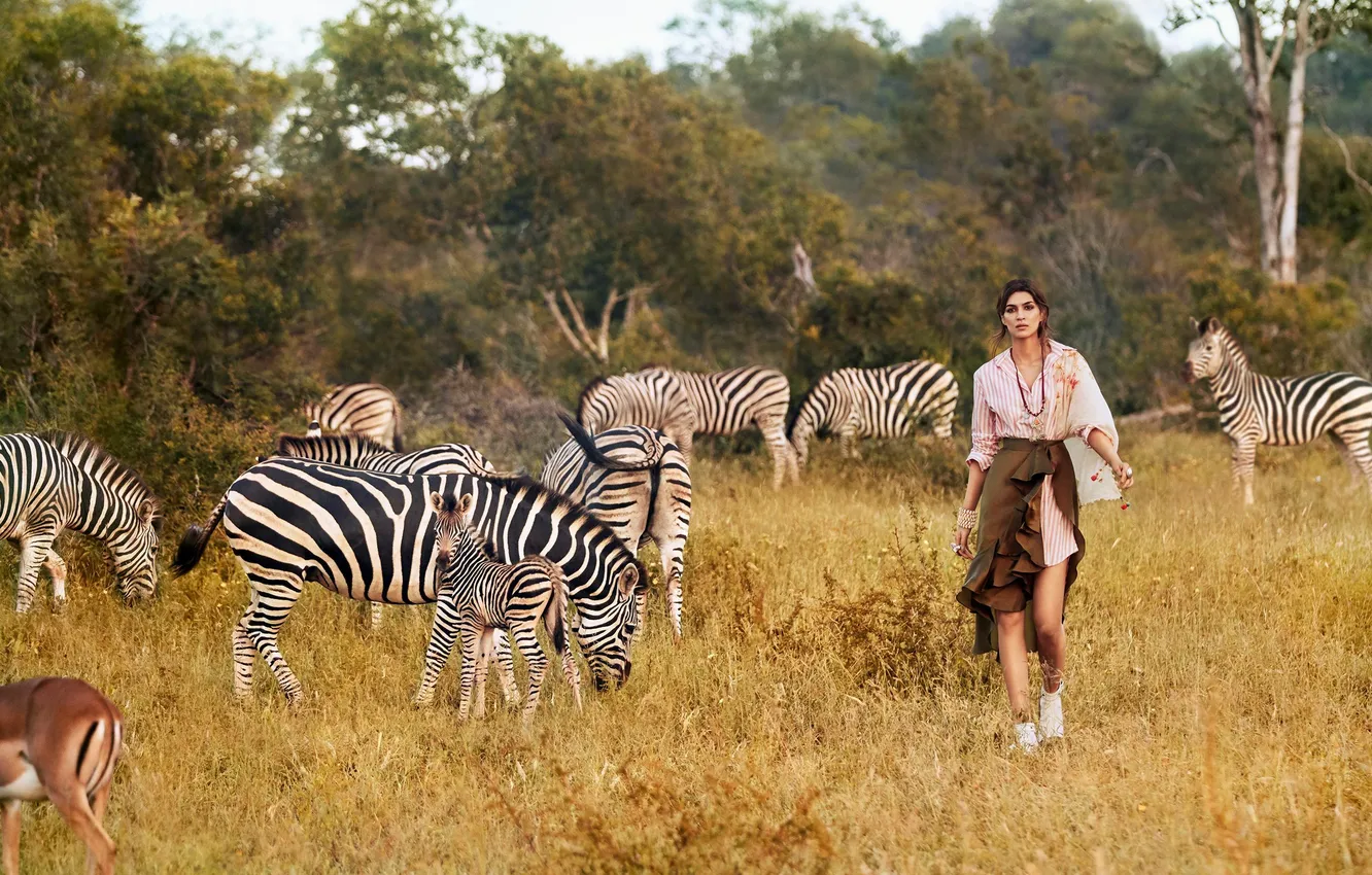 Фото обои girl, nature, Africa, safari, zebra, Kriti Sanon