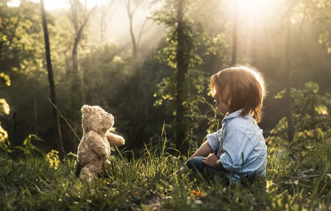 Фото обои свет, мальчик, мишка