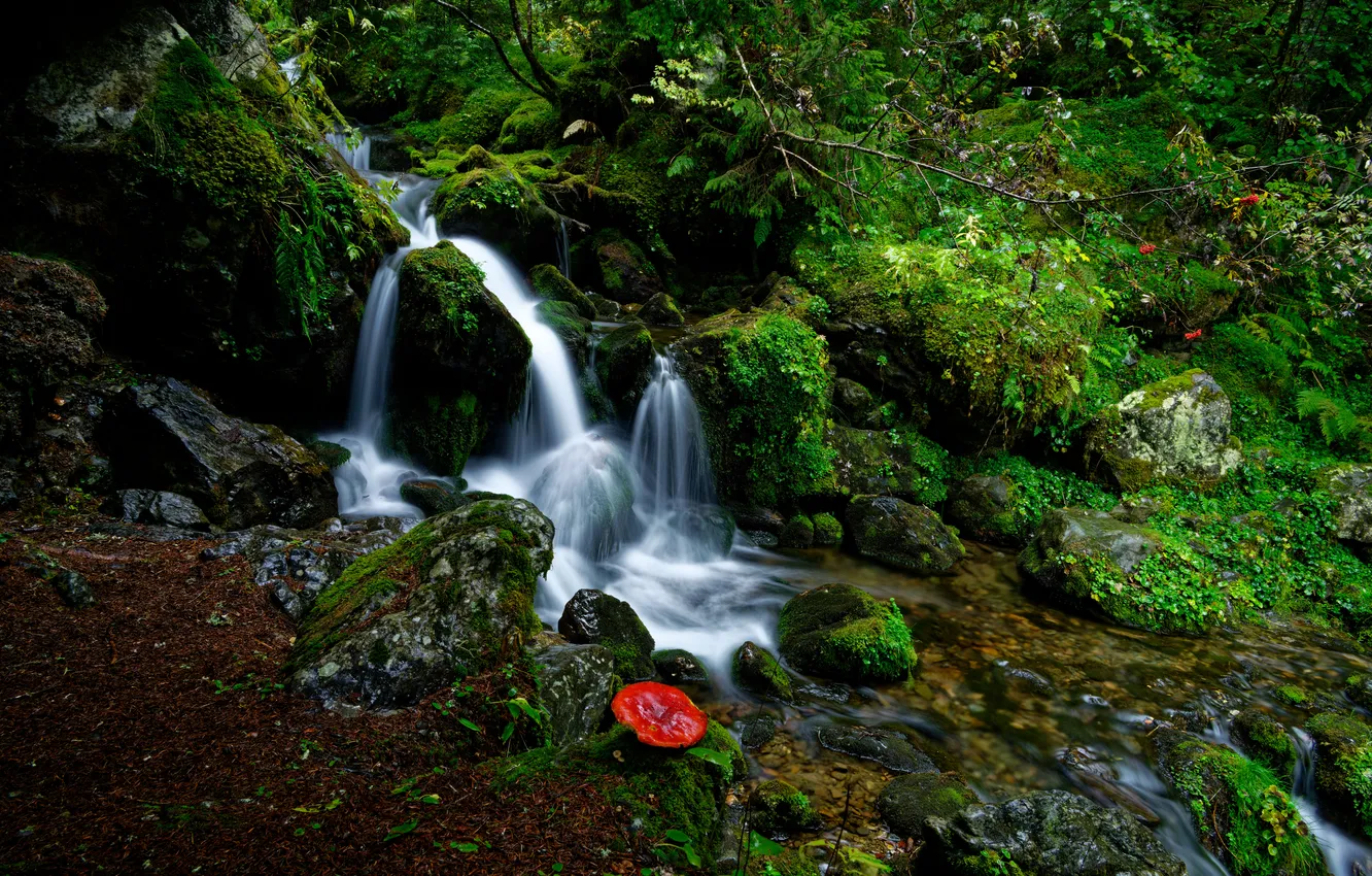 Фото обои природа, река, водопад