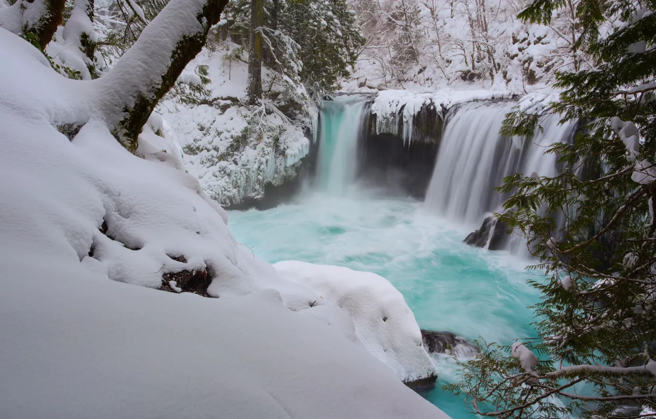 Фото обои зима, лес, снег, деревья, водопад