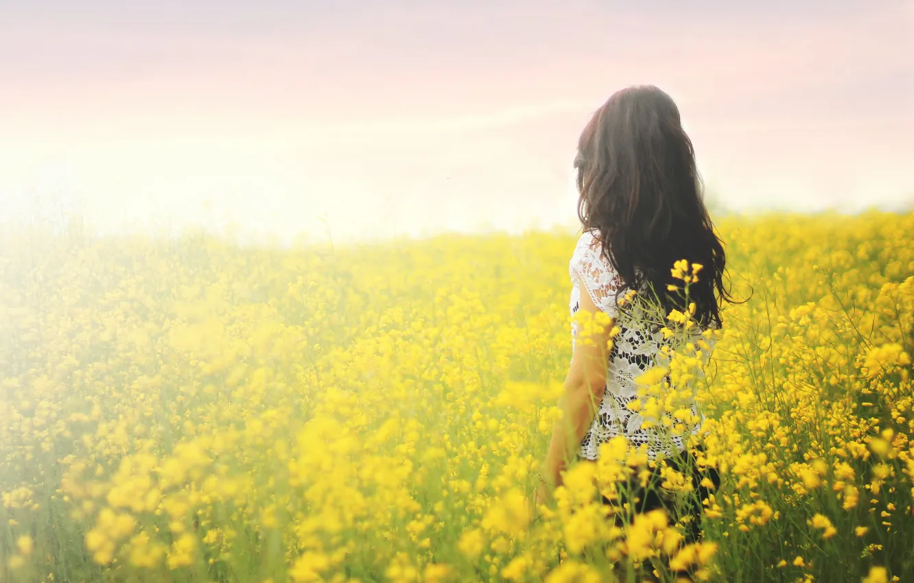 Фото обои трава, девушка, цветы, желтые