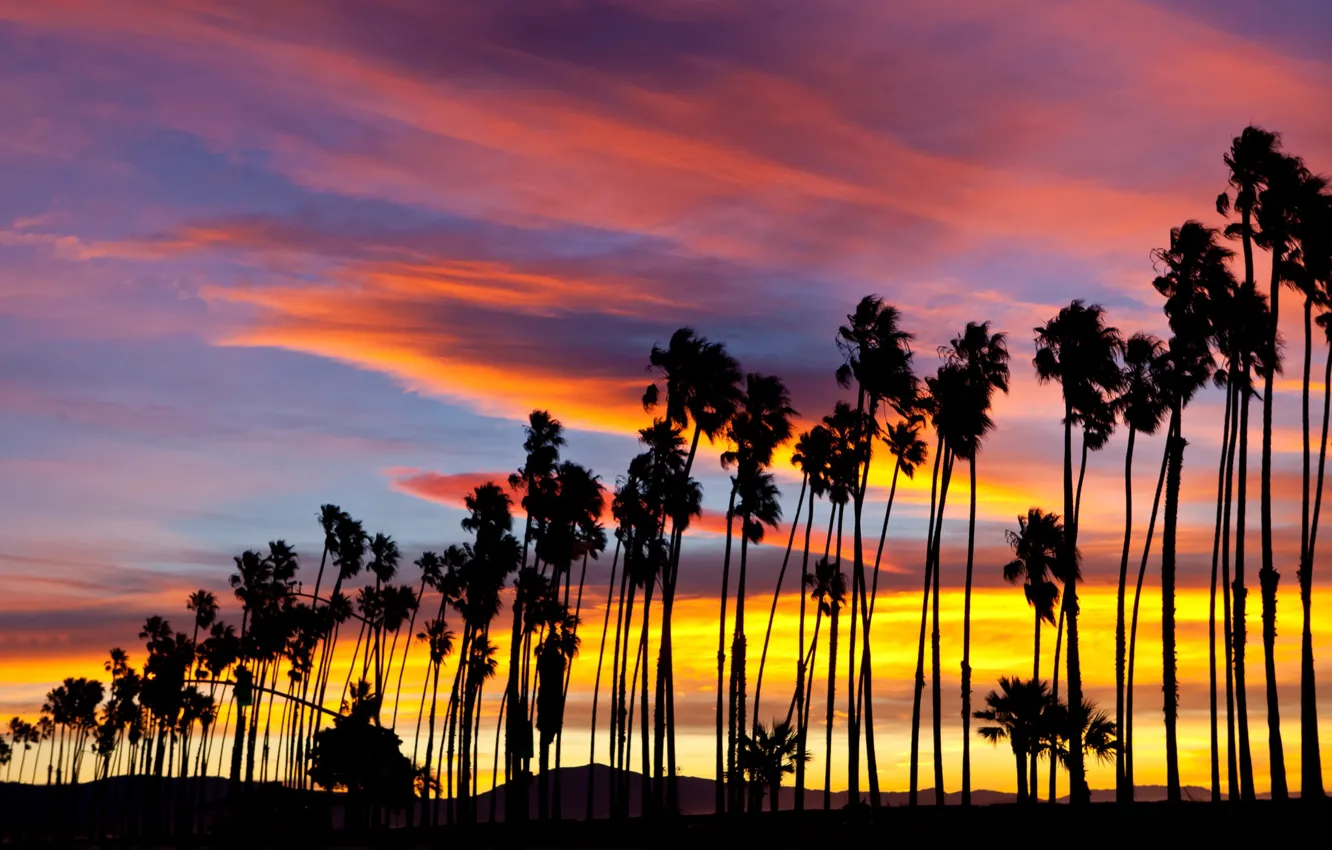 Фото обои Закат, Пальмы, Калифорния, USA, Америка, Sunset, California, Санта-Барбара
