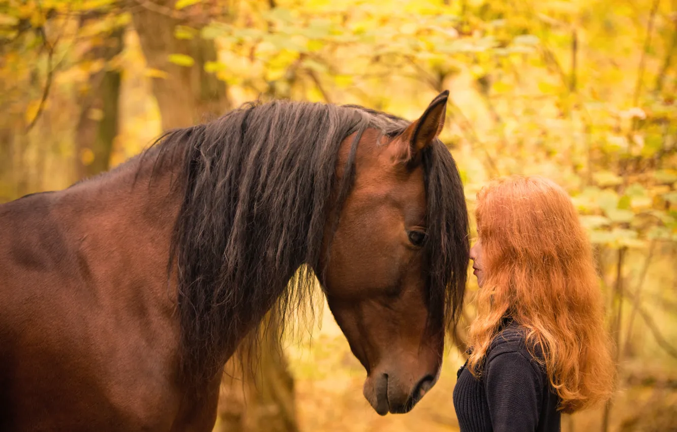 Фото обои осень, девушка, конь