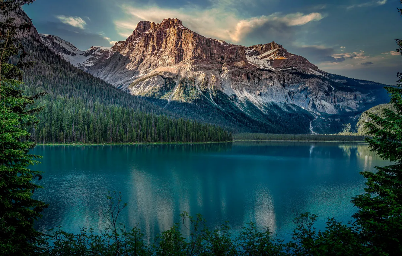 Фото обои лес, горы, озеро, Канада, Canada, British Columbia, Британская Колумбия, Yoho National Park