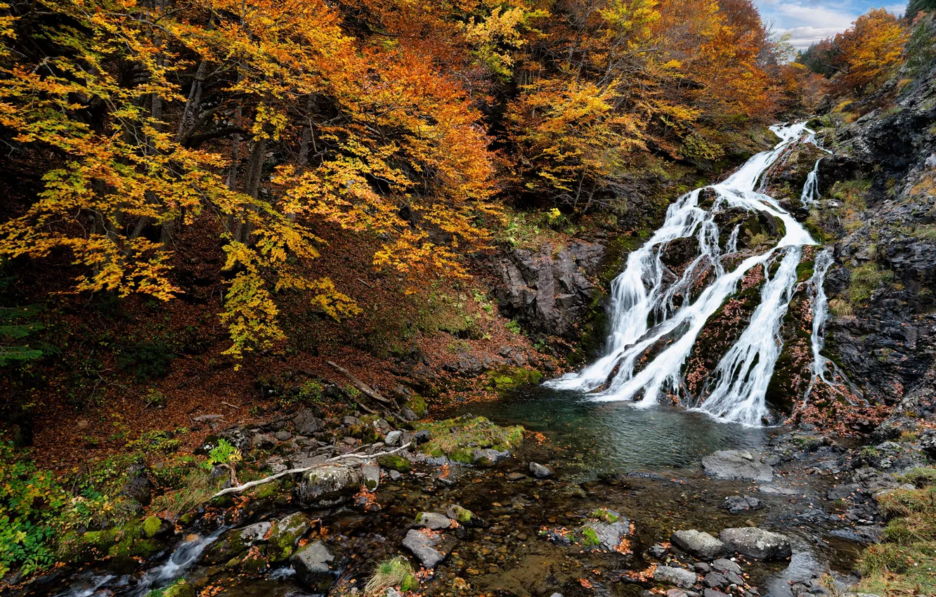 Фото обои осень, листья, деревья, река, камни, водопад, Испания