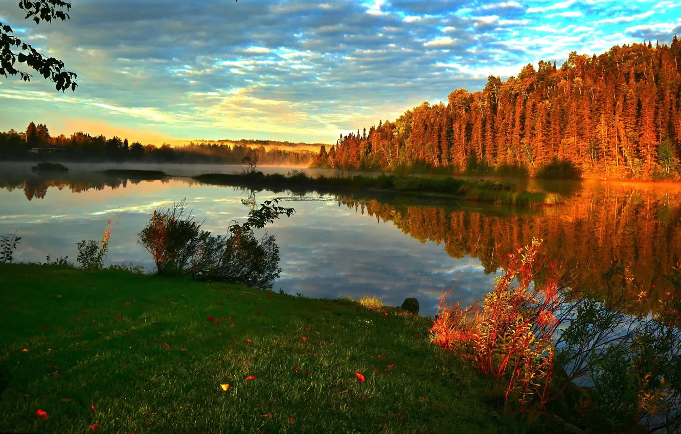 Фото обои осень, пейзаж, закат, природа, туман, река, леса, берега