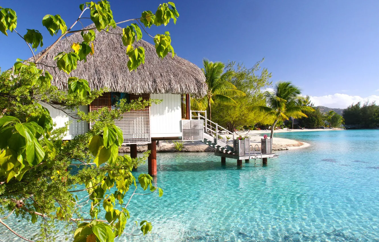 Фото обои ocean, bungalow, lagoon, bora-bora, water villa, clear aqua
