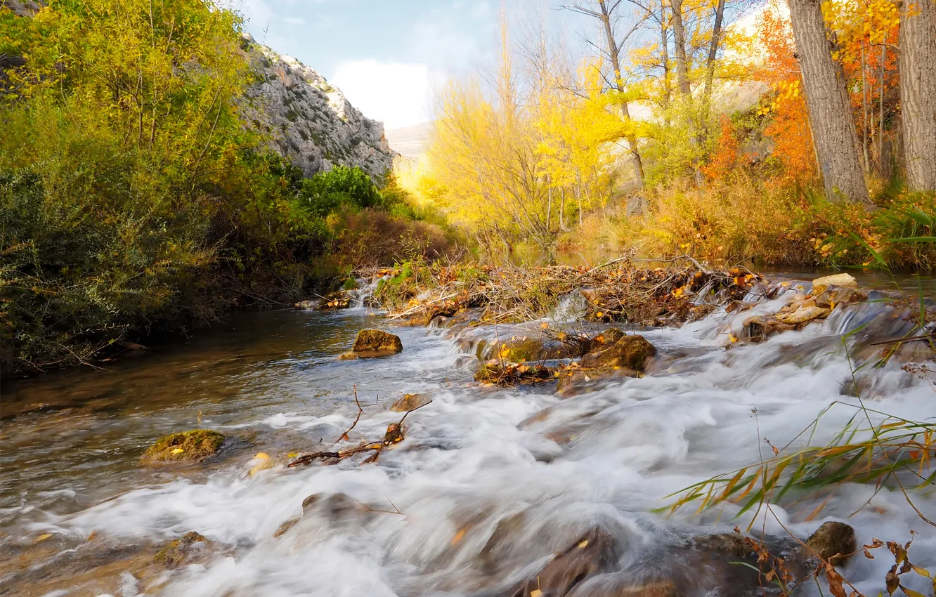 Фото обои осень, лес, деревья, горы, река, камни, поток
