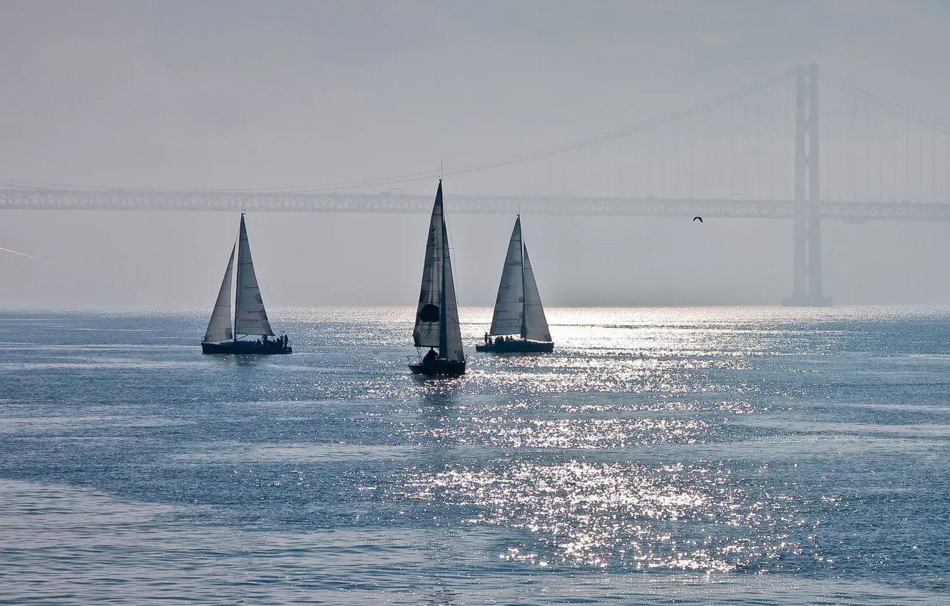 Фото обои море, мост, дымка, парусники
