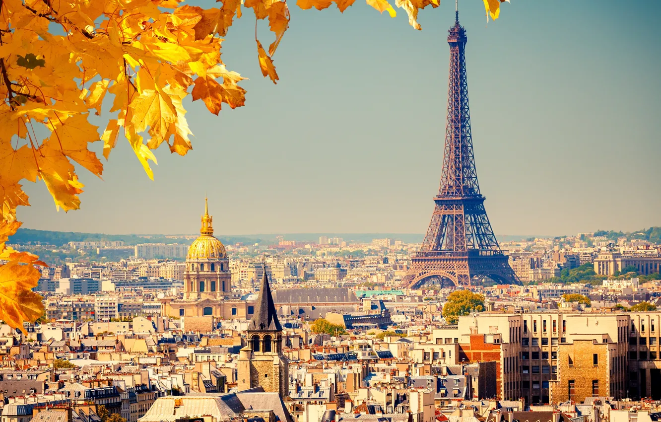 Фото обои осень, листья, город, фон, Франция, Париж, вид, здания