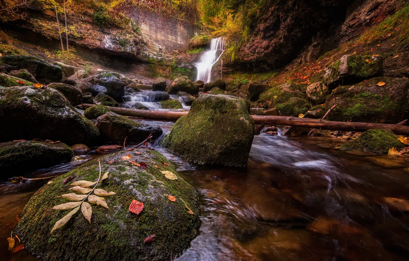 Фото обои осень, листья, ручей, камни, скалы, водопад, поток, бревно
