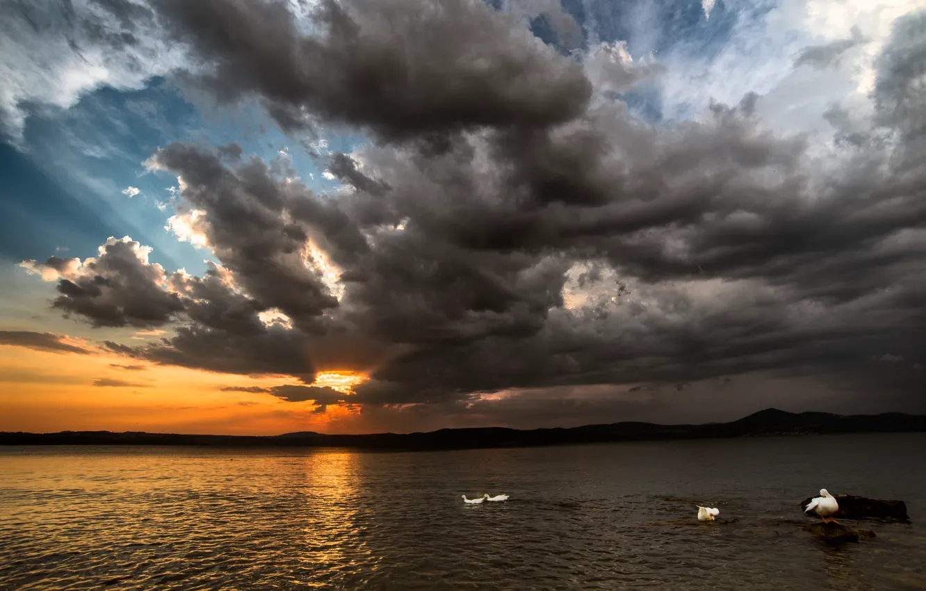 Фото обои облака, закат, озеро, холмы, утки, буря, storm, sunset