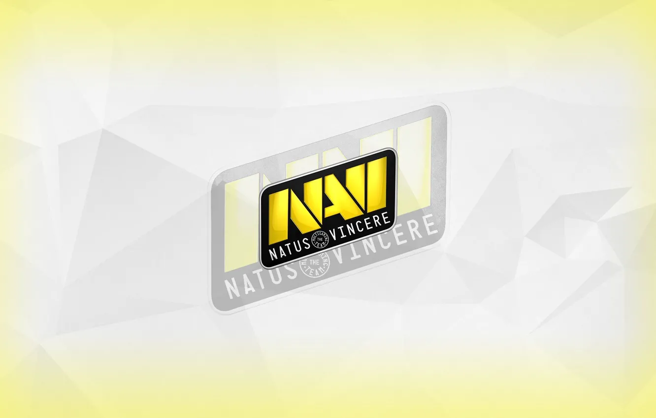 Фото обои Team, Natus Vincere, navi, NaVi Gaming