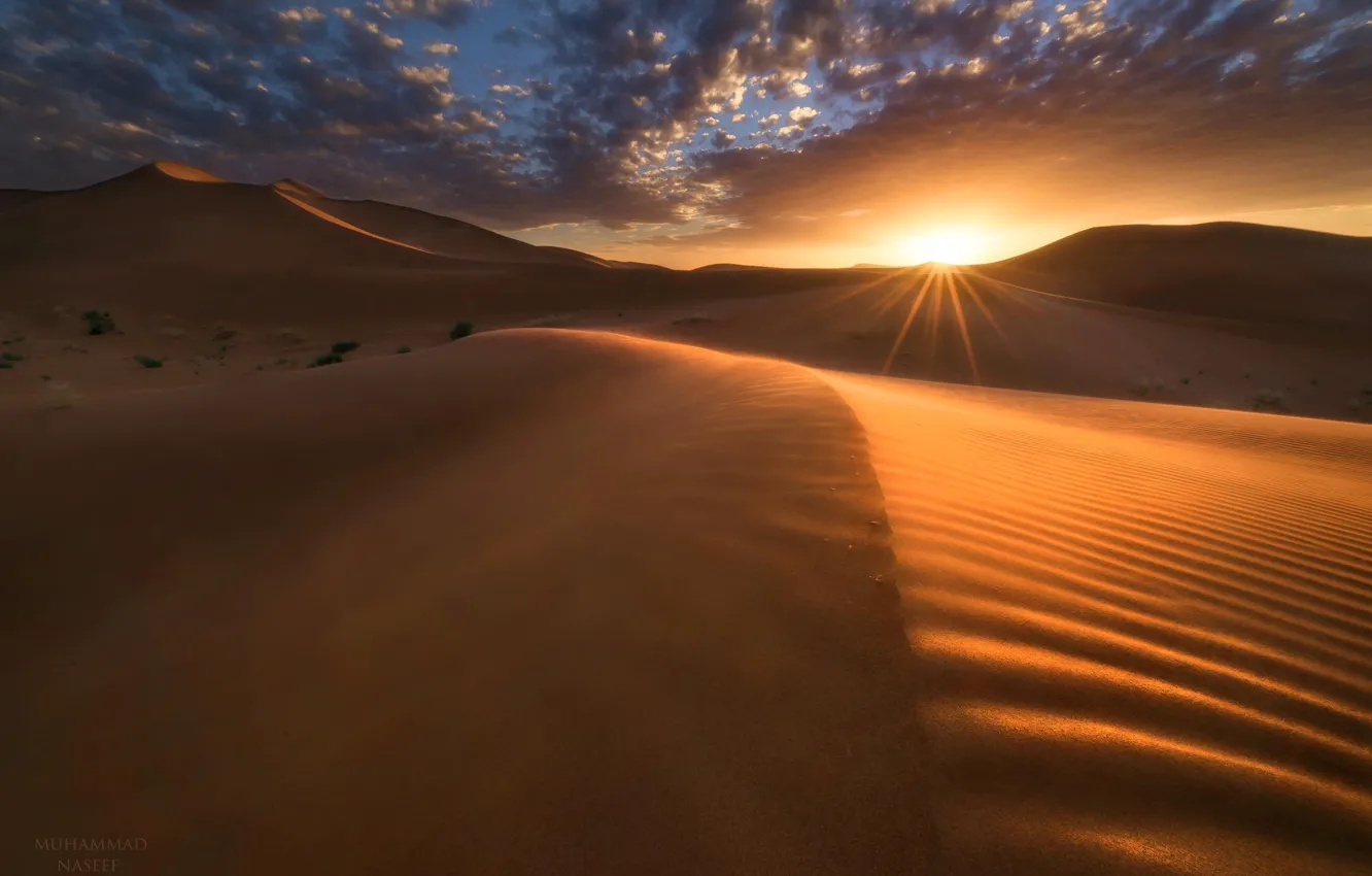 Фото обои пейзаж, закат, пустыня, дюны