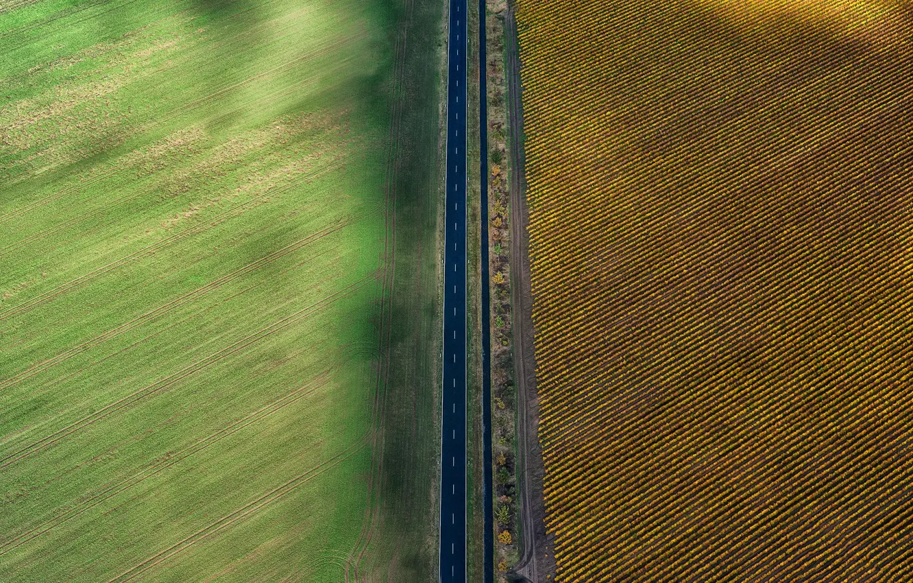 Фото обои road, field, farm