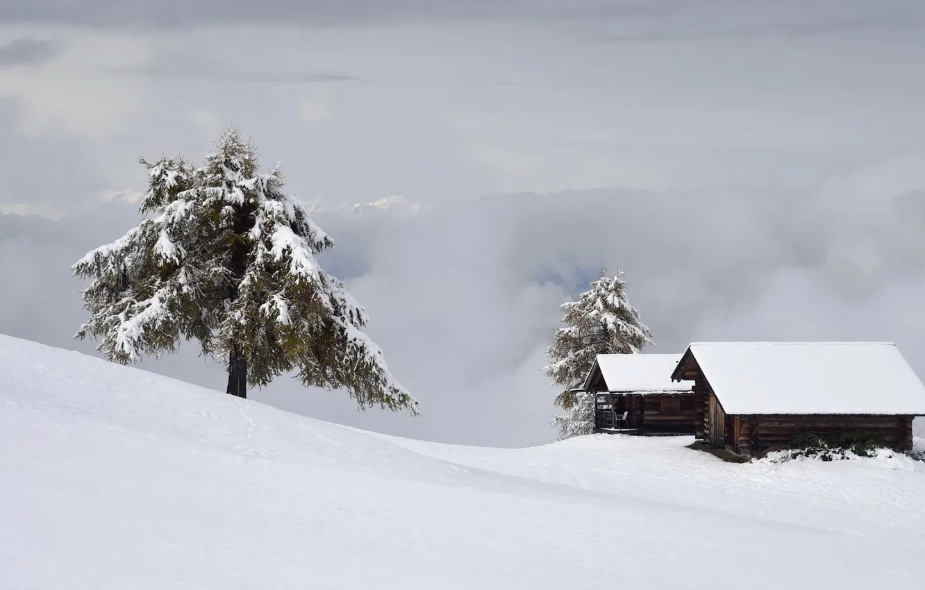 Фото обои снег, дом, дерево