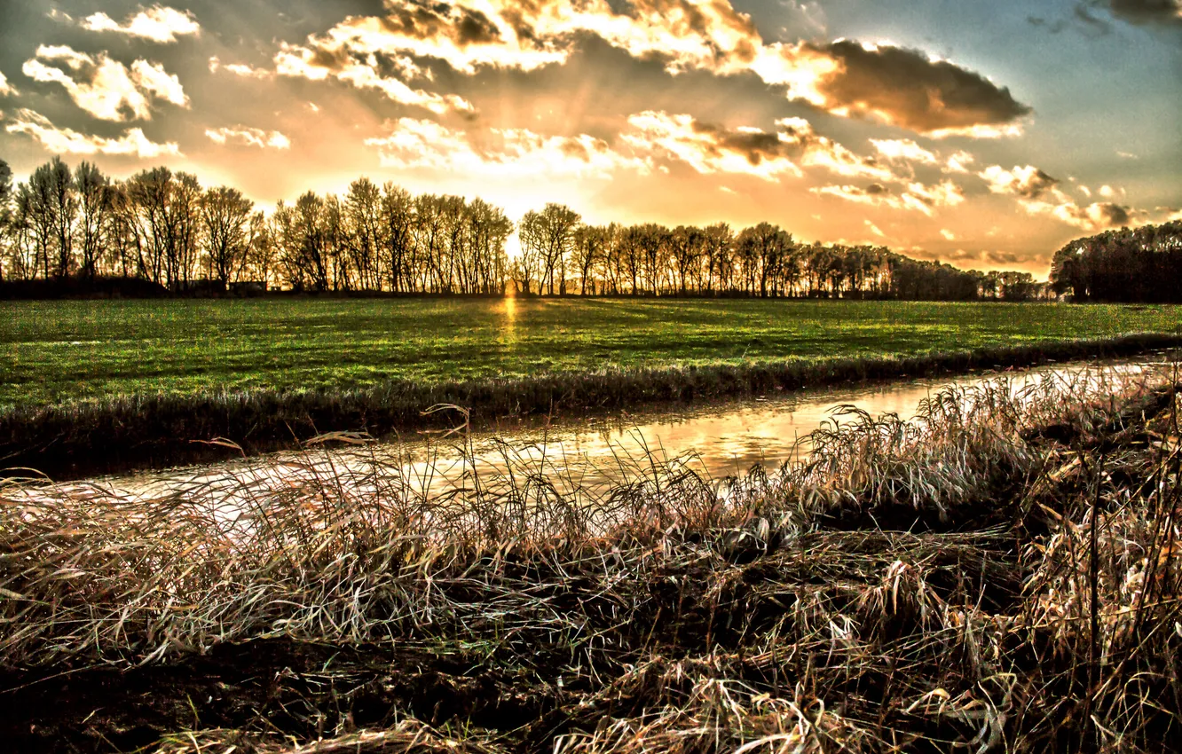 Фото обои поле, солнце, деревья, закат, канал