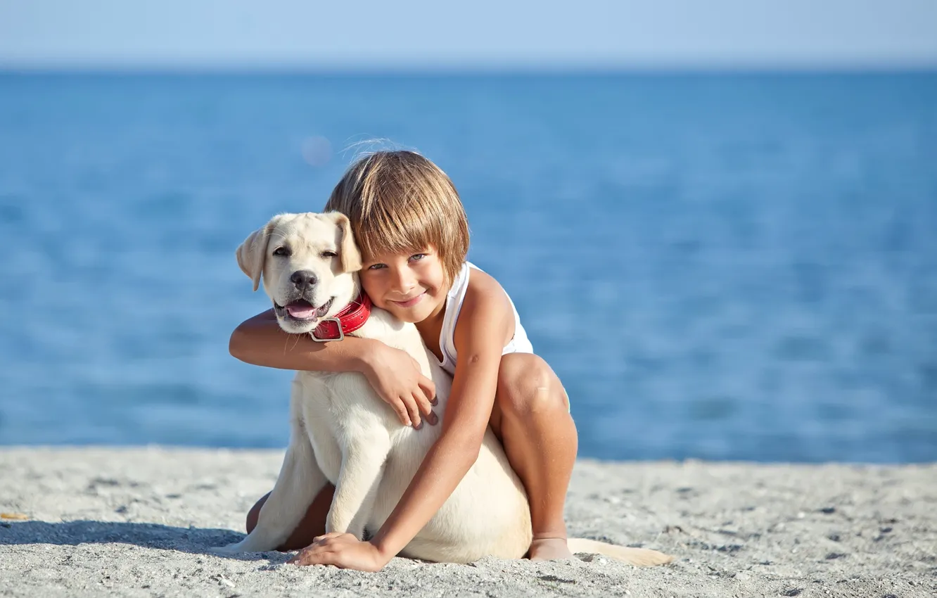 Фото обои море, улыбка, настроение, берег, ребенок, собака, мальчик, объятия