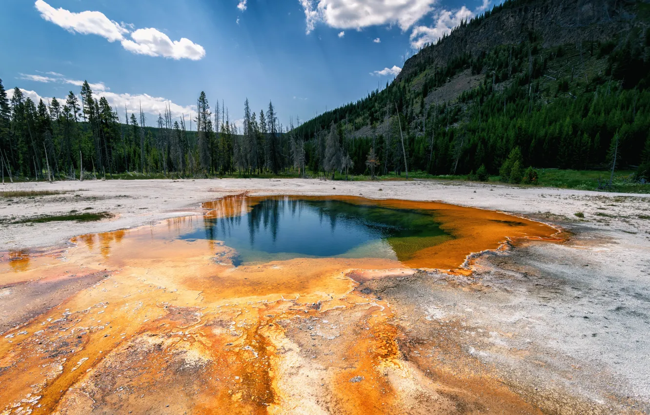 Фото обои лес, небо, вода, облака, горы, озеро, отражение, берег