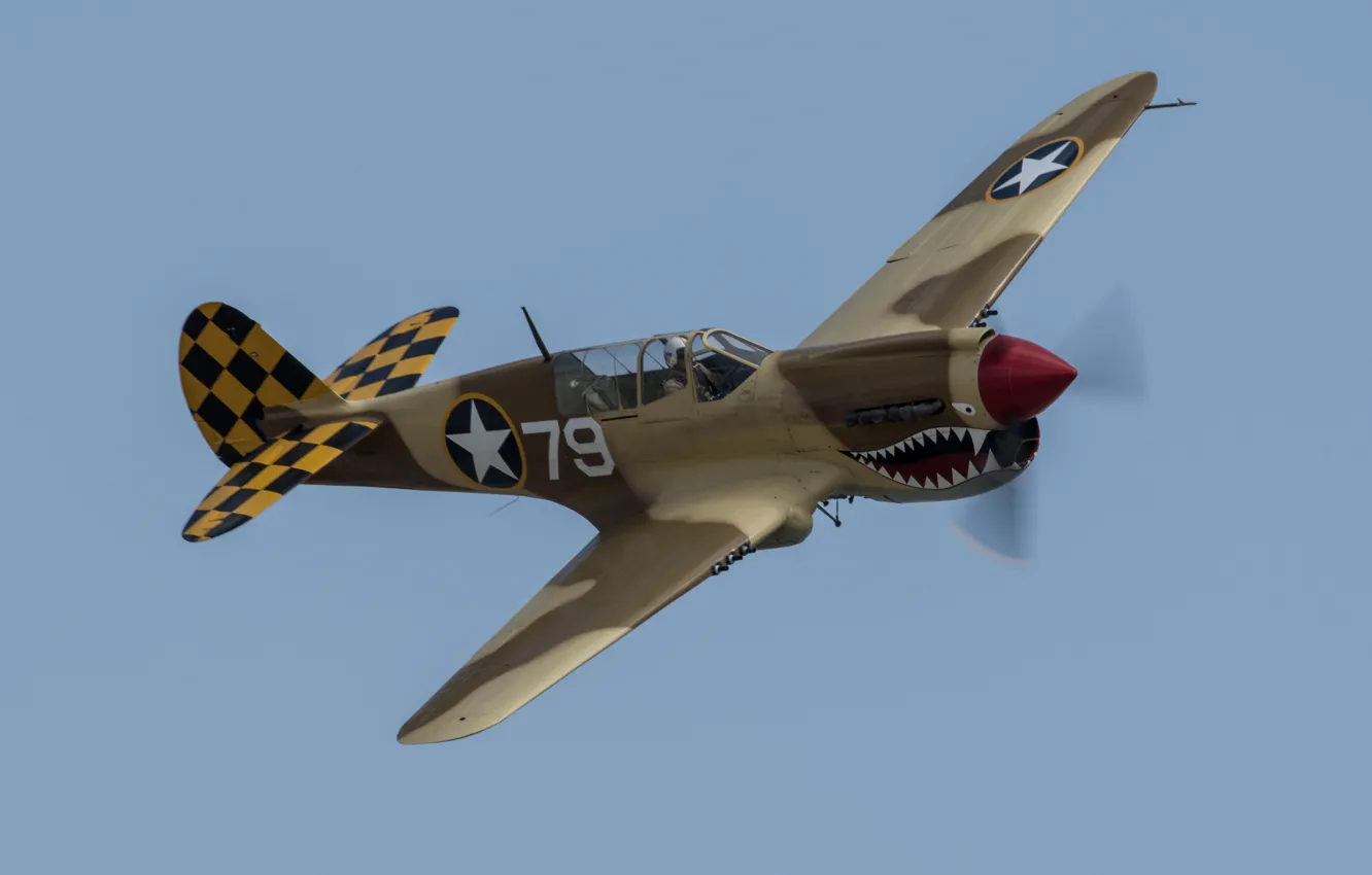 Фото обои полет, истребитель, P-40, Warhawk