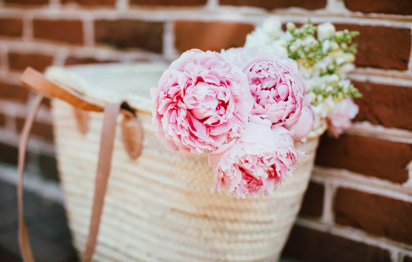 Фото обои цветы, лепестки, розовые, сумка, пионы