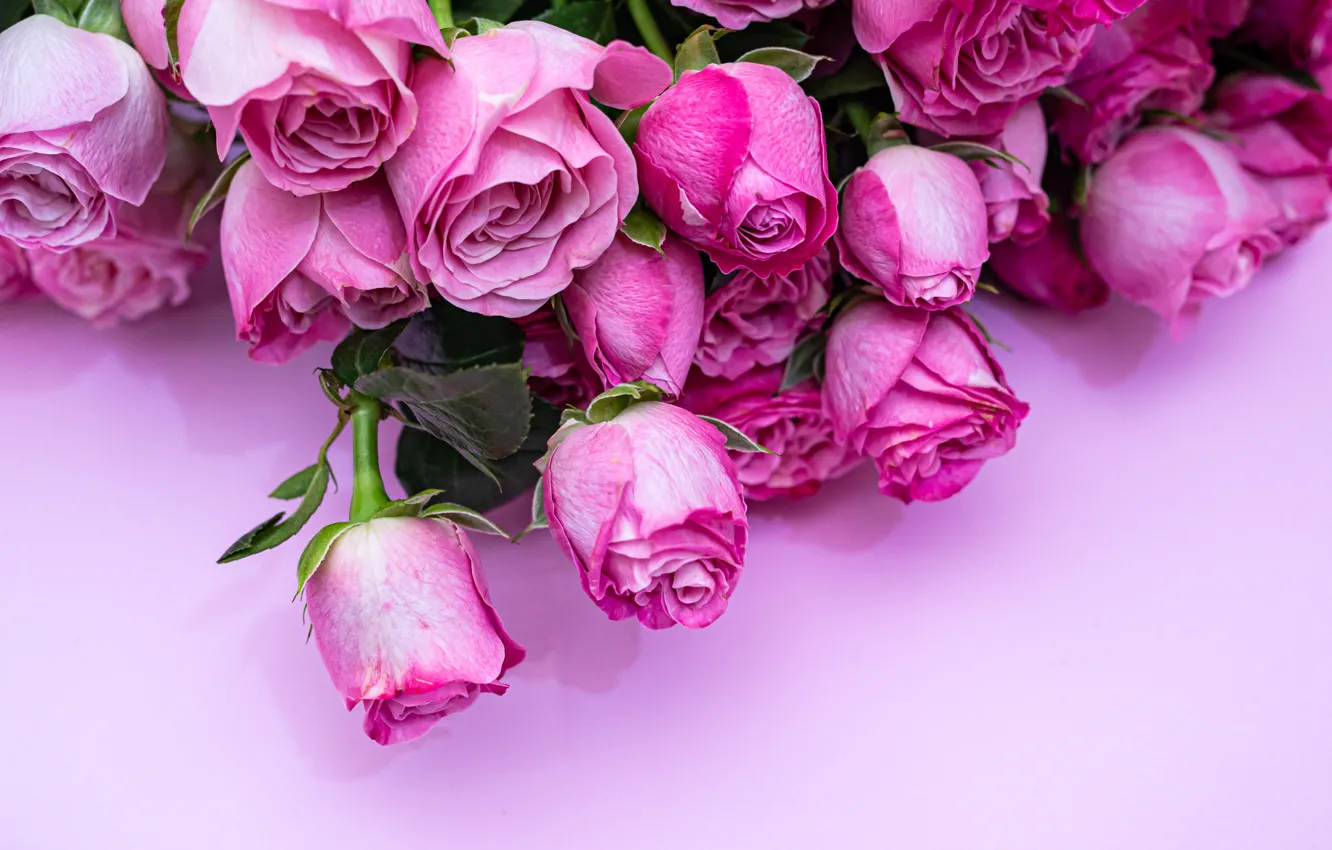 Фото обои цветы, крупный план, розы, букет