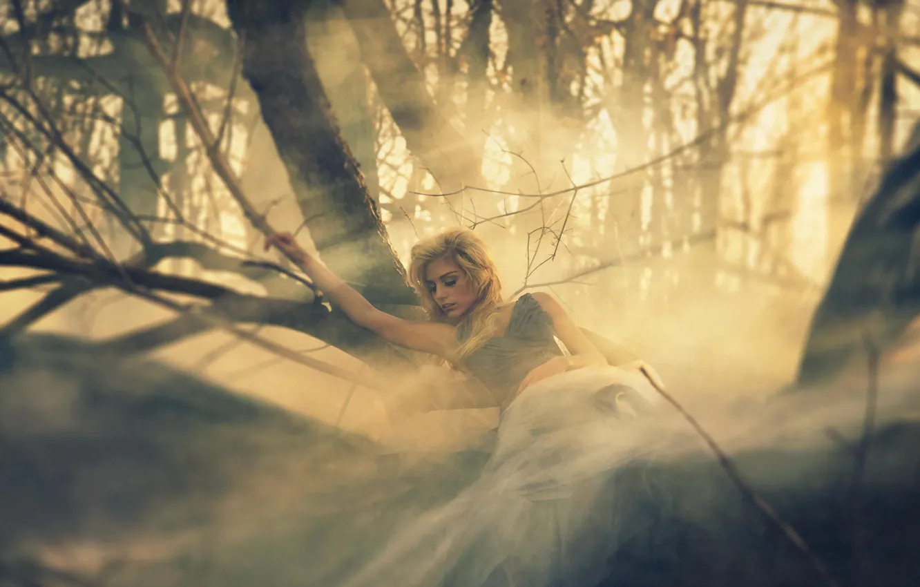 Фото обои лес, девушка, туман