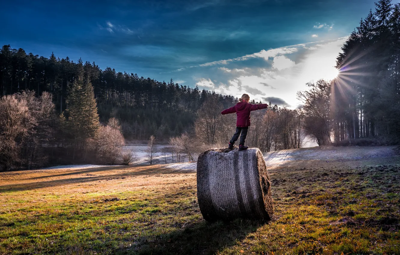 Фото обои свет, природа, жизнь, настроение, утро, сено, девочка