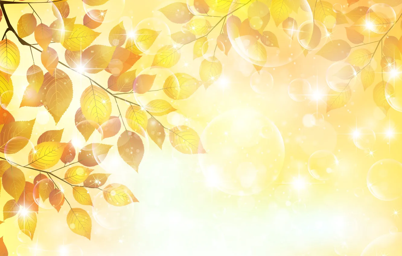 Фото обои осень, листья, пузыри, веточка, блески