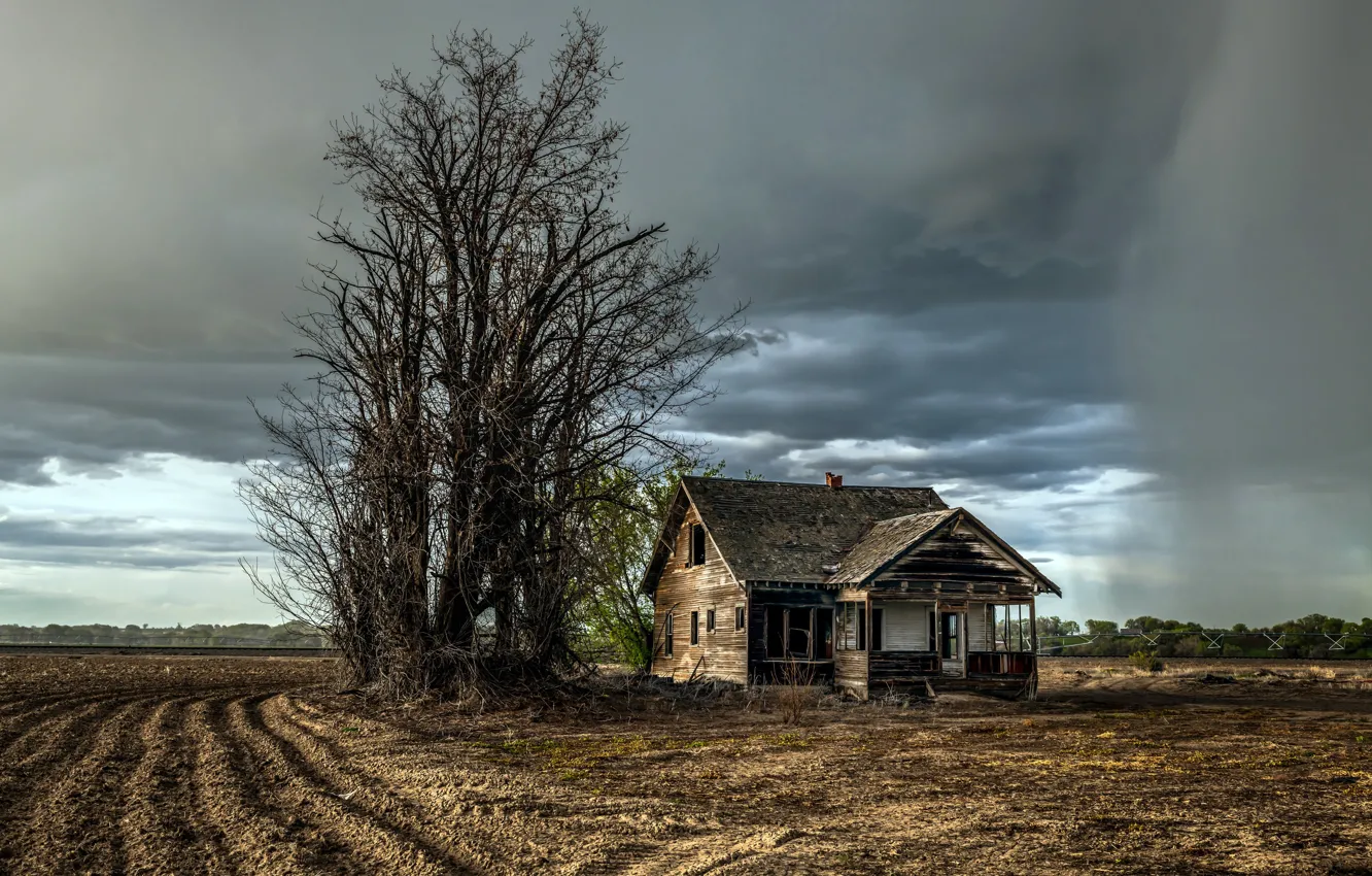 Фото обои поле, дом, дерево
