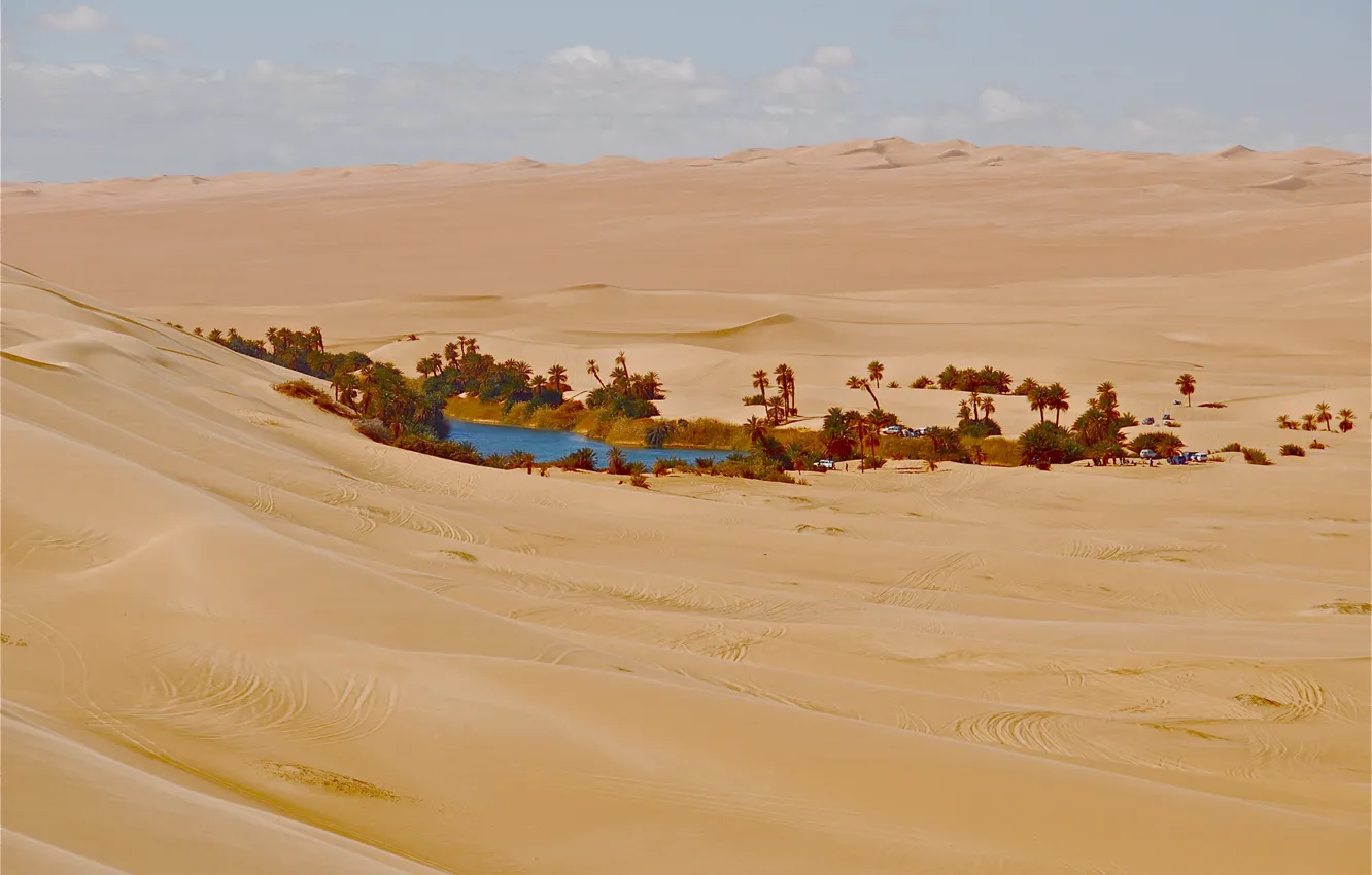Фото обои песок, дом, пальма, пустыня, оазис