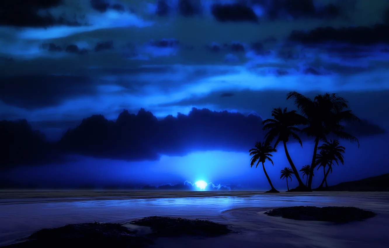 Фото обои море, небо, облака, пейзаж, ночь, тропики, пальма, луна
