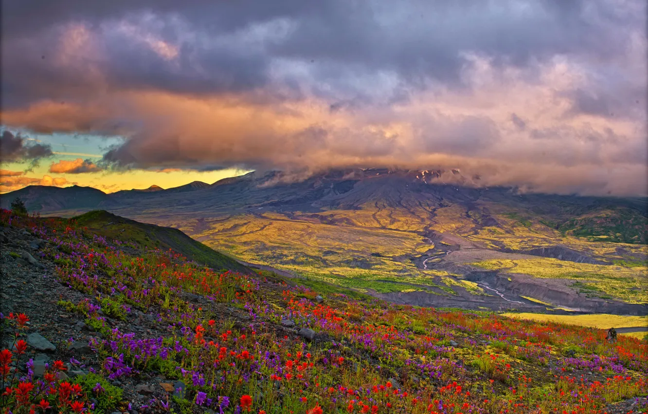 Фото обои облака, цветы, горы, поля, простор, луга