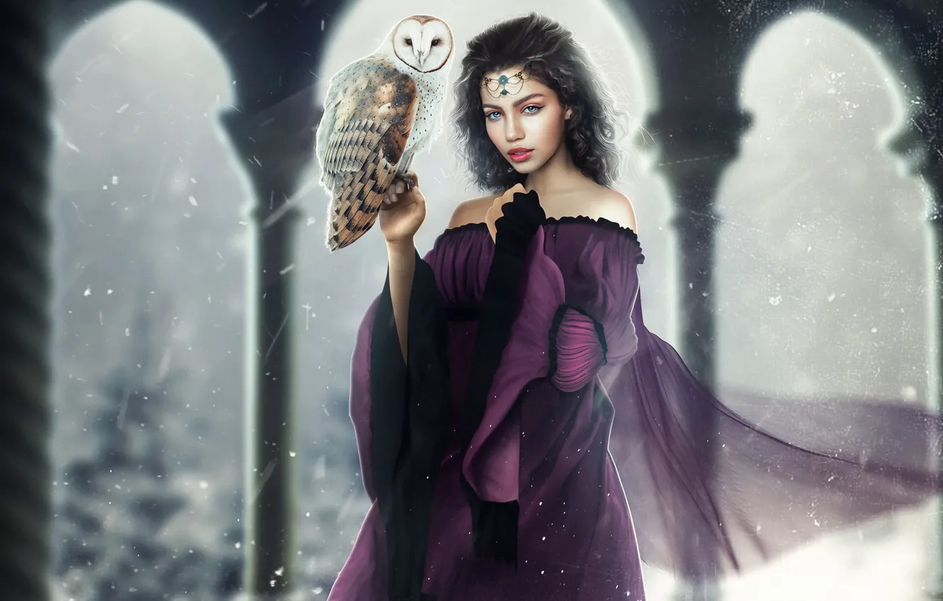 Фото обои Девушка, Сова, Птицы, Стиль, Платье, Брюнетка, Fantasy, Арт