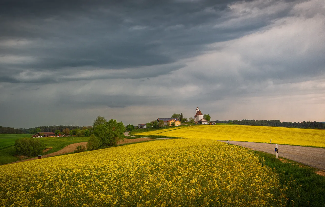 Фото обои дорога, поле, небо, облака, цветы, тучи, холмы, весна