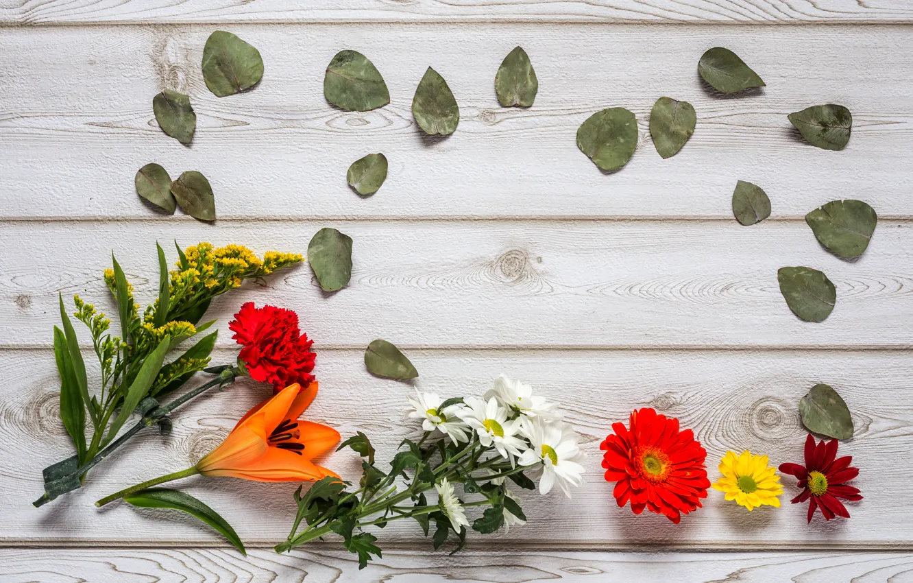 Фото обои цветы, colorful, wood, flowers, composition, floral