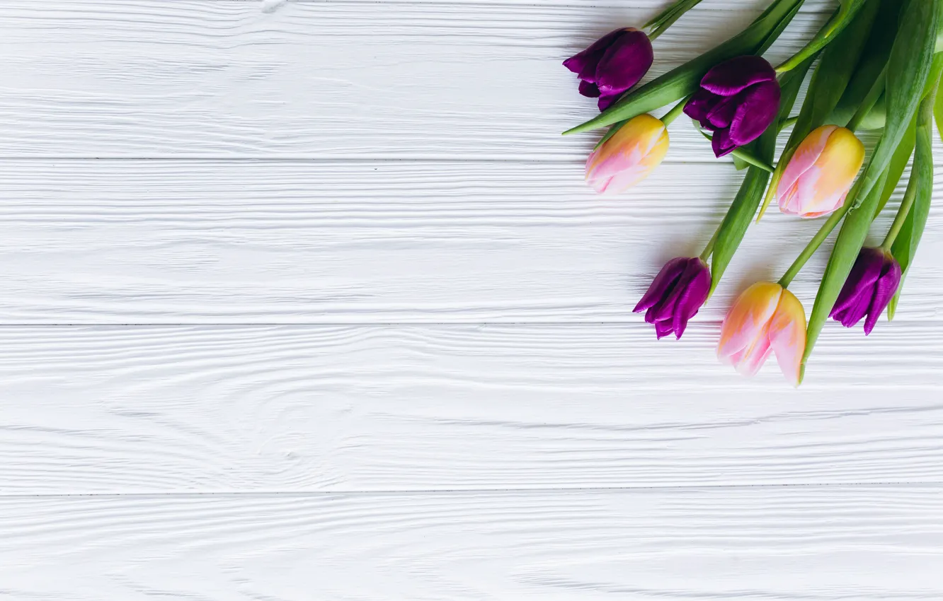 Фото обои цветы, тюльпаны, розовые, fresh, wood, pink, flowers, beautiful